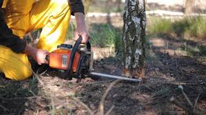 Best Organic Lawn Care Solutions  in Creola, AL